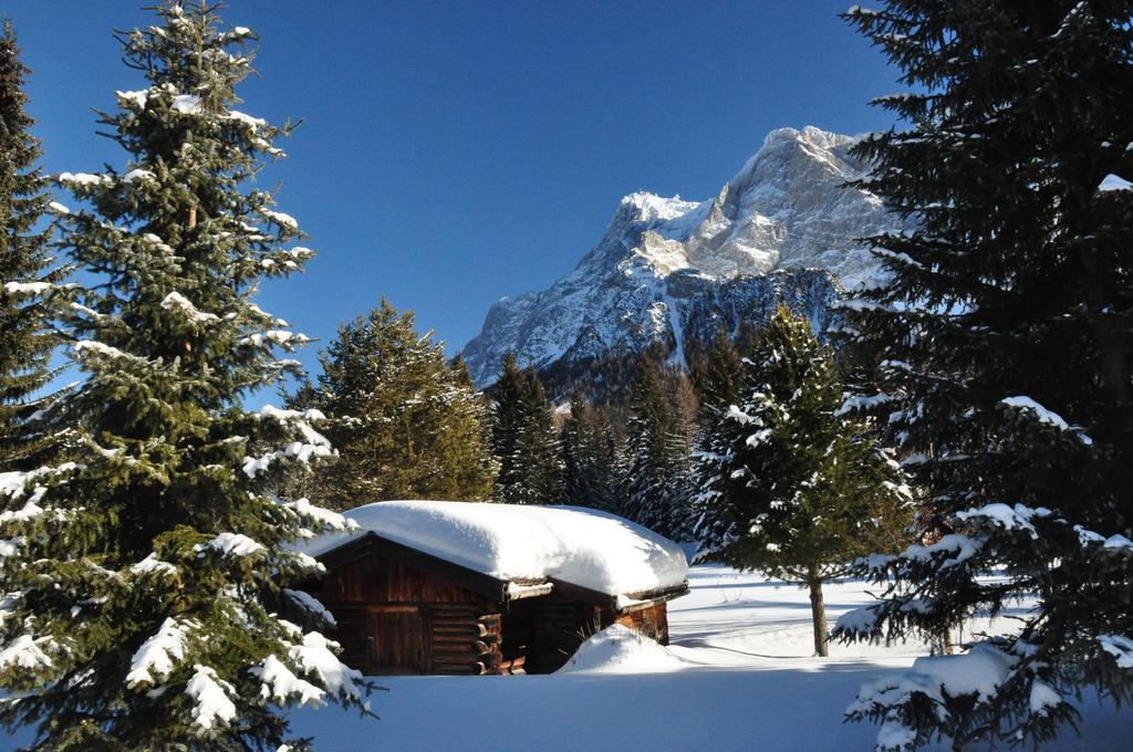 Hotel Alpen Residence Έρβαλντ Εξωτερικό φωτογραφία